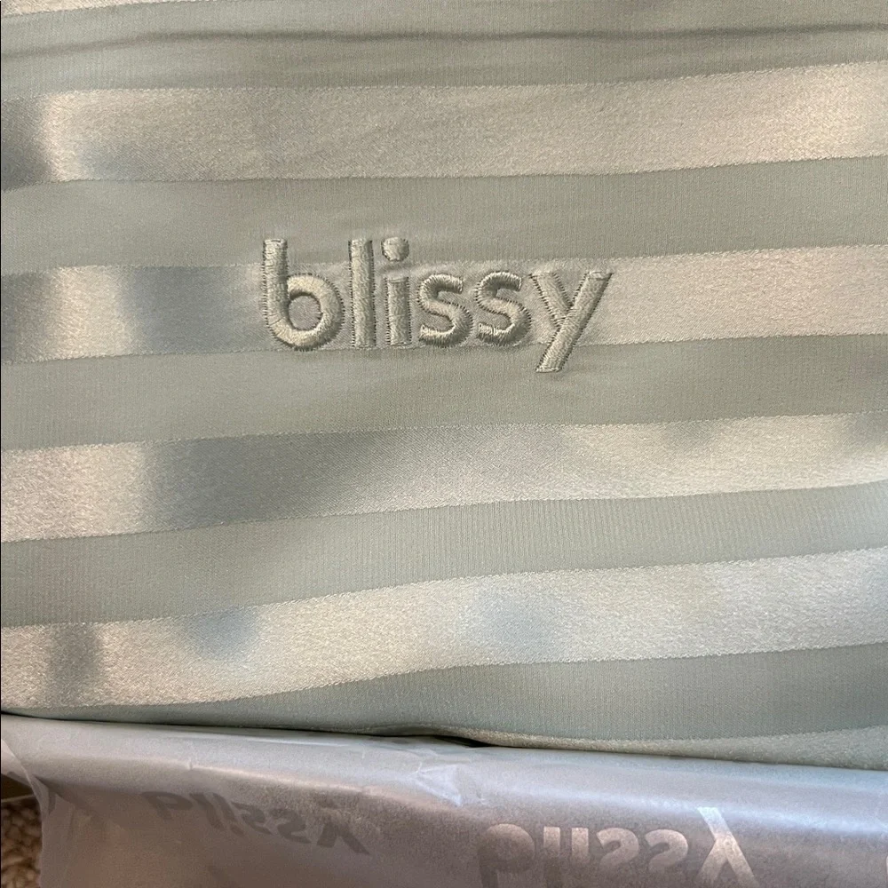 Blissy Mint Green 2 Striped King Size Pillowcases - Picture 5 of 7